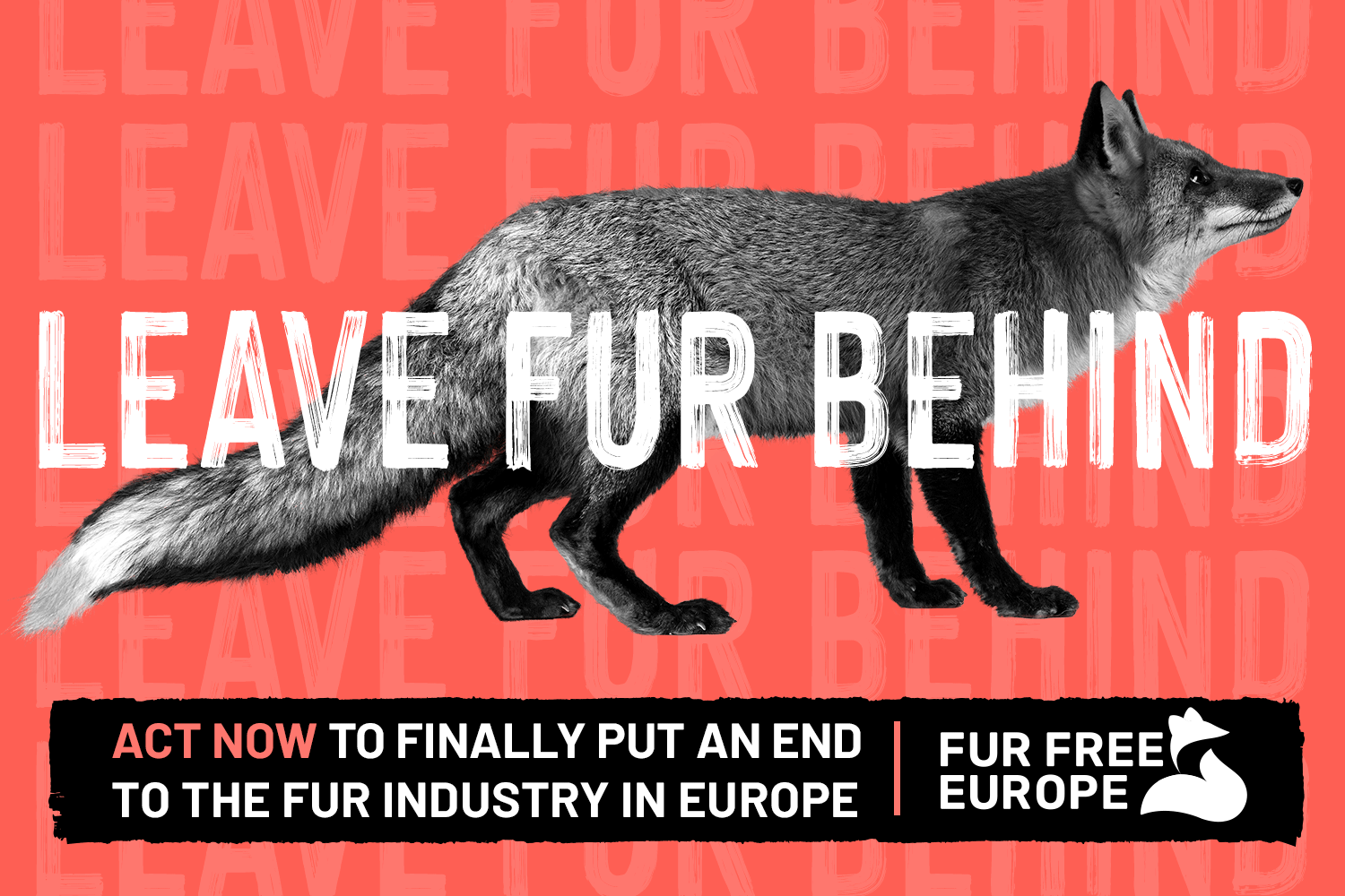 Fur Free Europe